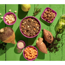 Fred - Green Planet, Ingen Hest med Sdkartoffel