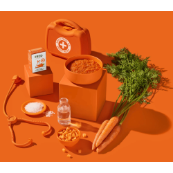 Fred - Morosche Karottensuppe