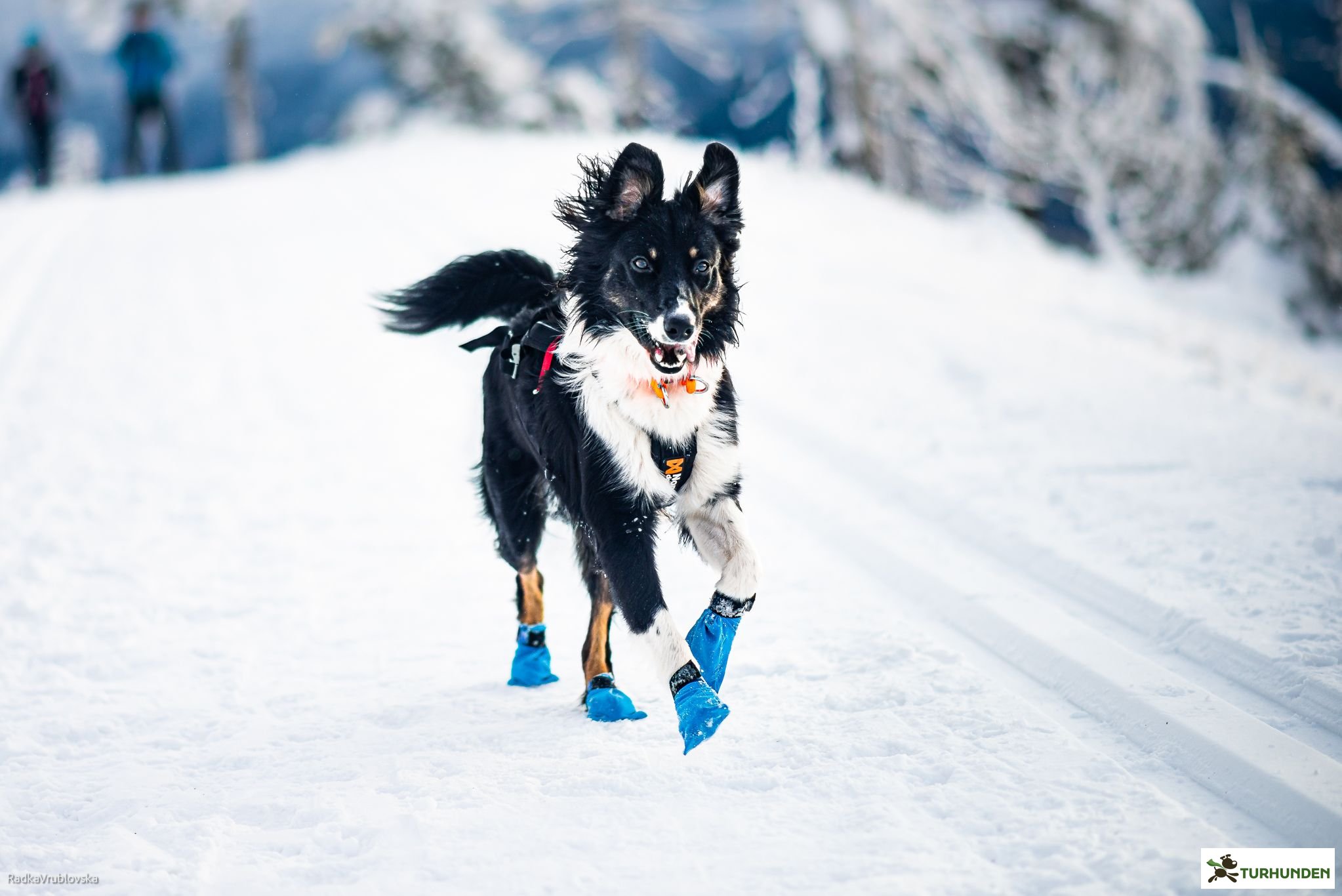 Non-stop dogwear Long distance bootie, 4 stk