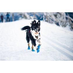 Non-stop dogwear Long distance bootie, 4 stk