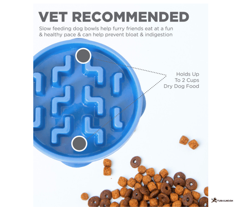 Fun Feeder Slo Bowl, Bl