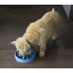 Fun Feeder Slo Bowl, Bl