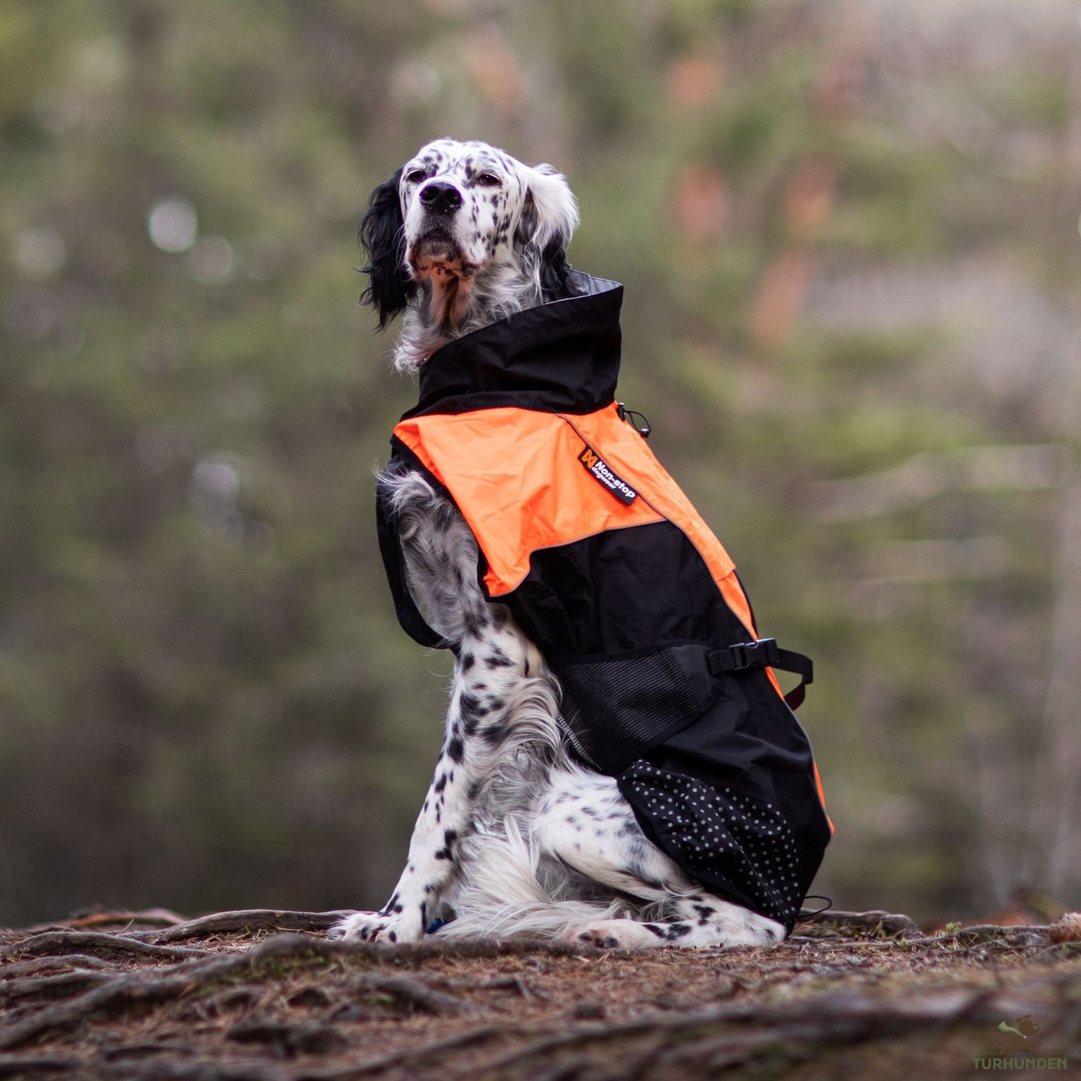 NonStop - Pro regnjakke - Hundetøj Turhunden