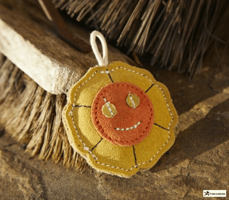 G&W - Slyvia the Sunflower