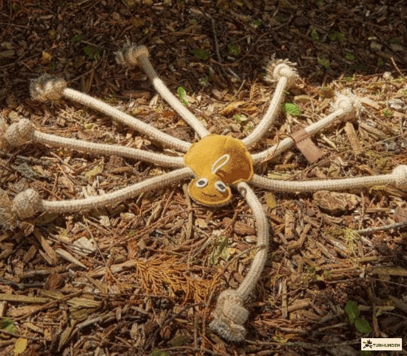 G&W -  Lily Longleggs