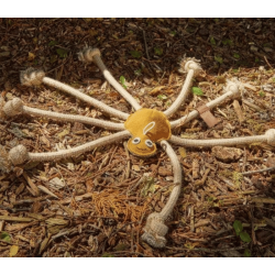 G&W -  Lily Longleggs