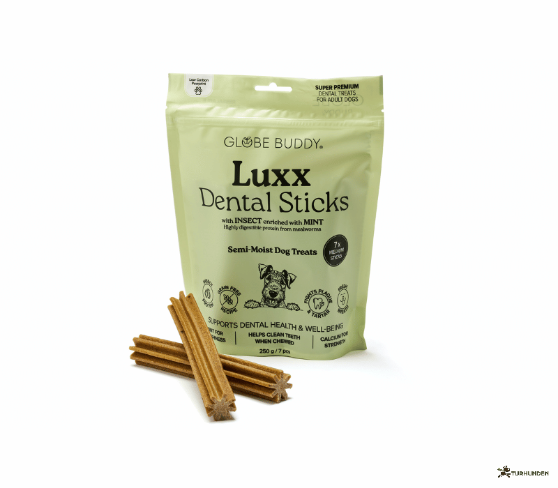 Globe Buddy Luxx Dental Sticks