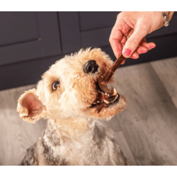 Nutriment Gourmet Pure Sticks Chicken