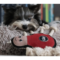 G&W - Spike the Spider