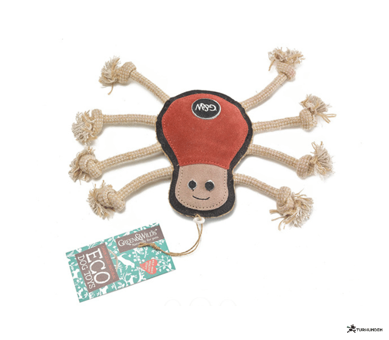 G&W - Spike the Spider
