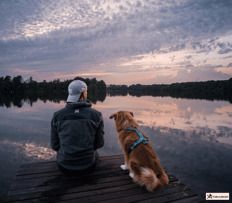 Non-stop Dogwear hoodie - Dame