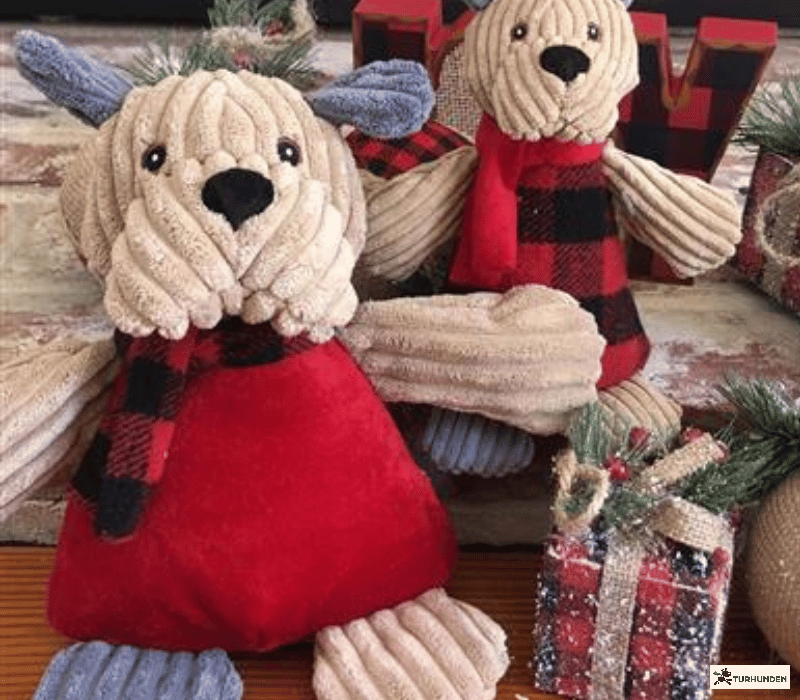 HuggleHounds Bully Chubbie Buddie