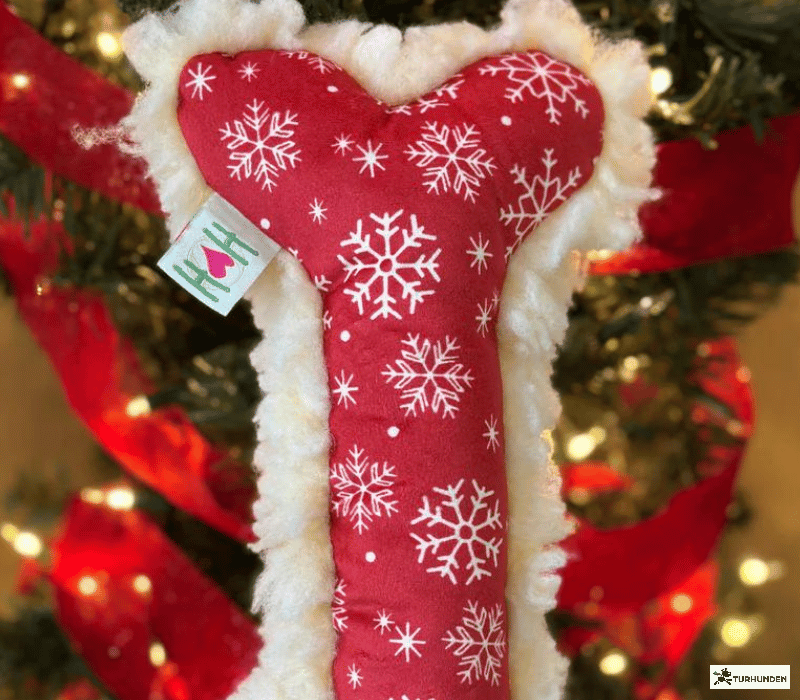 HuggleHounds Jingle all the Way Bones