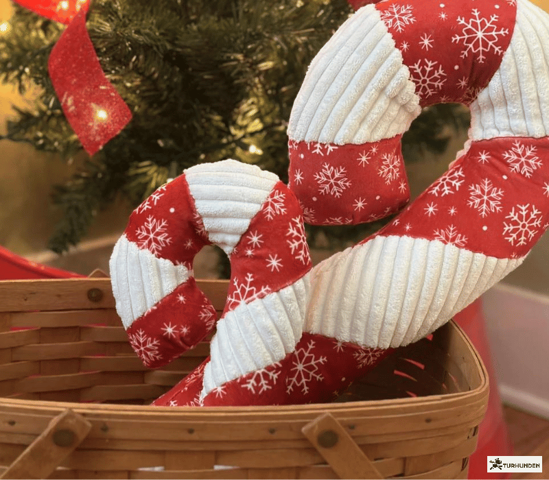 HuggleHounds Jingle all the Way Cane