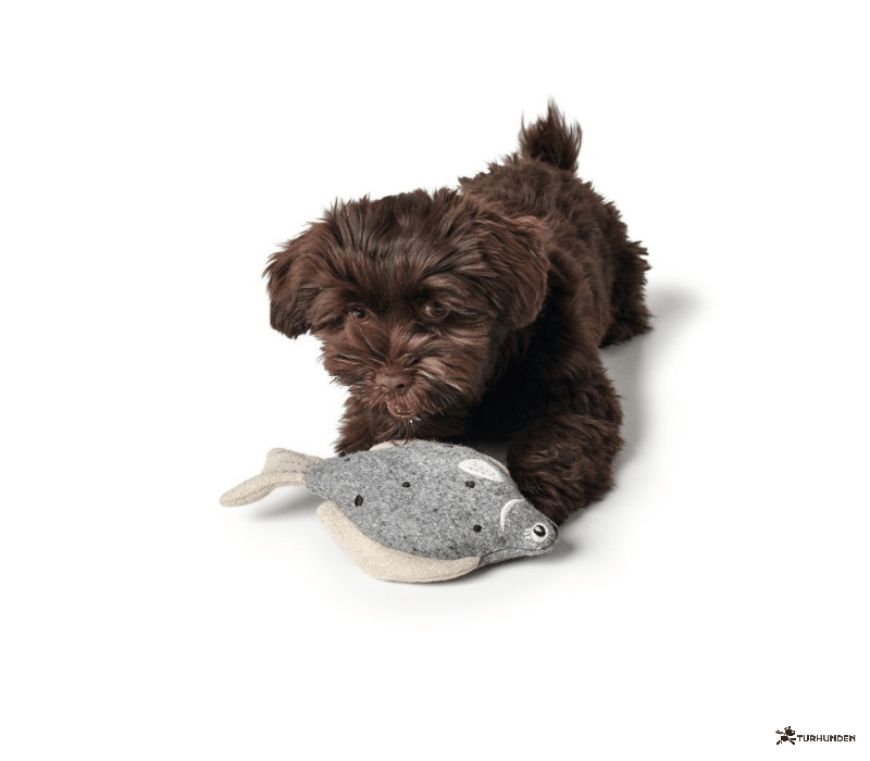 Hunter Skagen Pighvar 