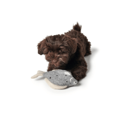 Hunter Skagen Pighvar 