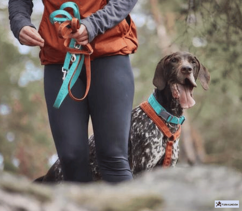 Hurtta Reflekterende Casual Line ECO