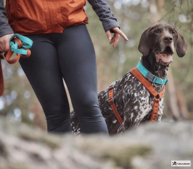 Hurtta Reflekterende Casual Line ECO