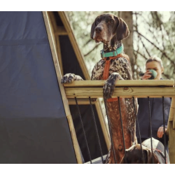 Hurtta Casual Y-sele ECO