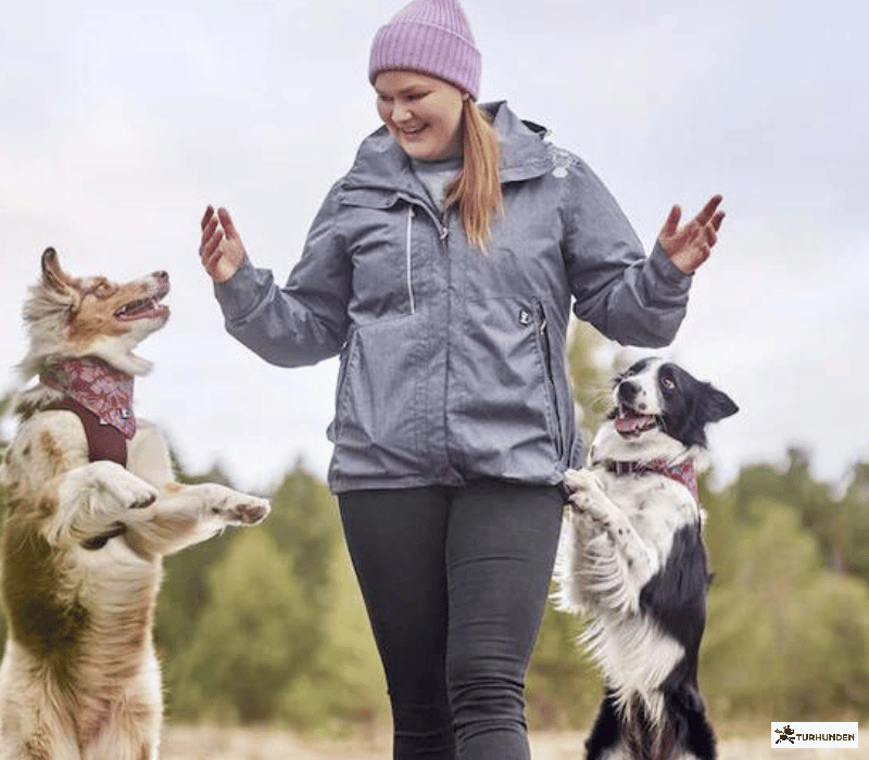 Hurtta ECO Trningsjakke