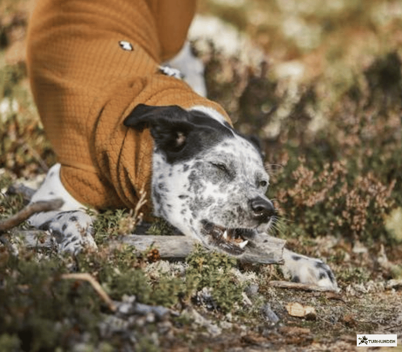 Hurtta ECO Warming Midlayer