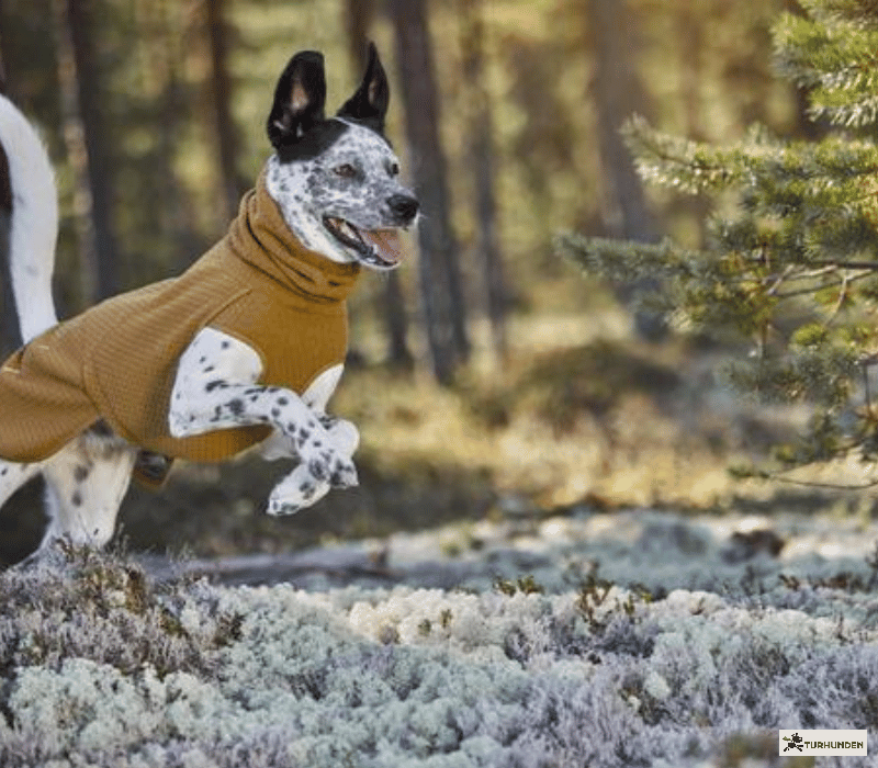 Hurtta ECO Warming Midlayer