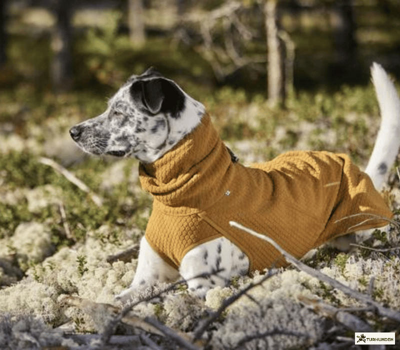 Hurtta ECO Warming Midlayer