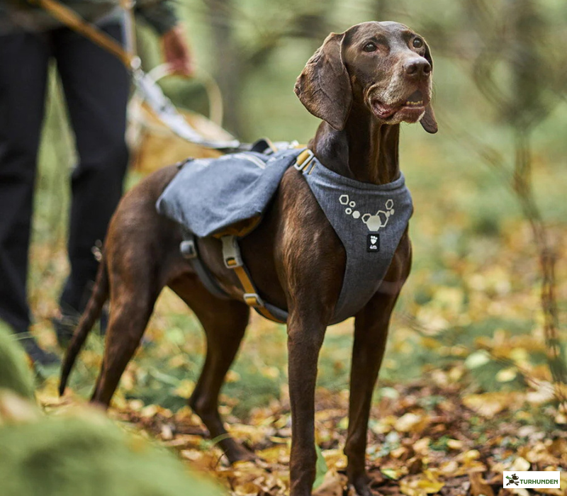 Hurtta Expedition Pack ECO