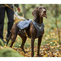 Hurtta Expedition Pack ECO