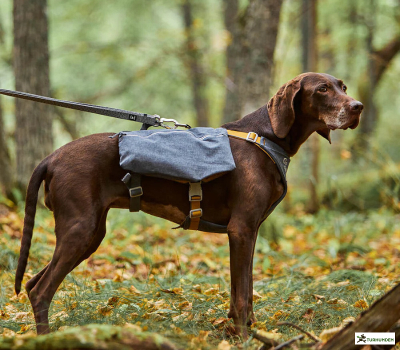 Hurtta Expedition Pack ECO