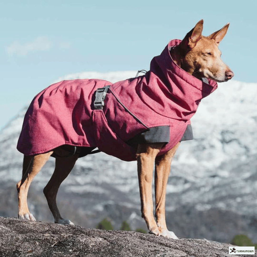 Hurtta Expedition Parka