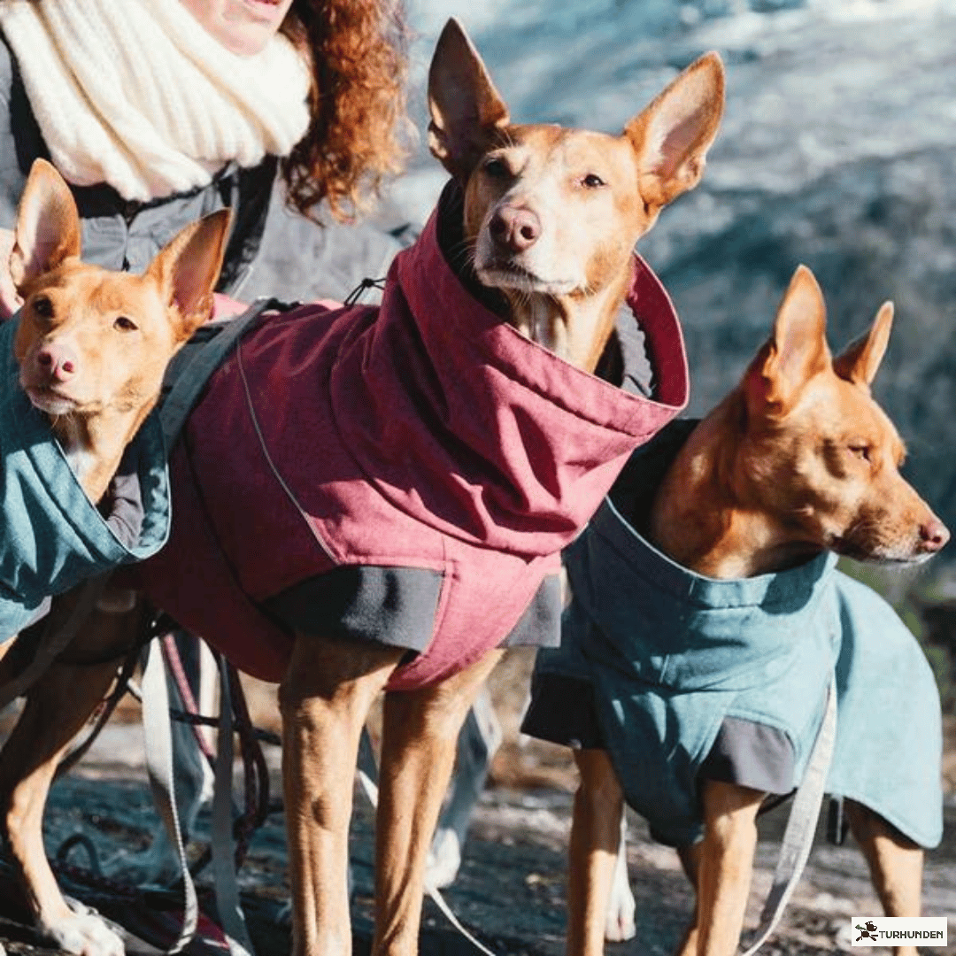 Hurtta Expedition Parka