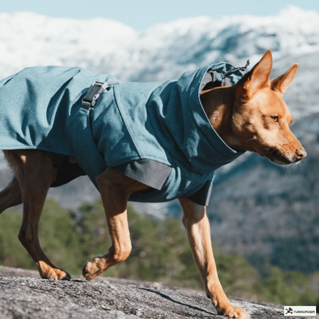 Hurtta Expedition Parka