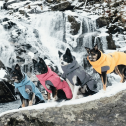 Hurtta Expedition Parka