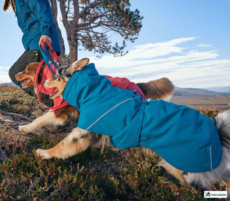 Hurtta Expedition Parka 2