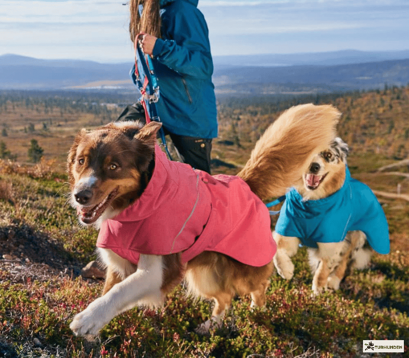 Hurtta Expedition Parka 2