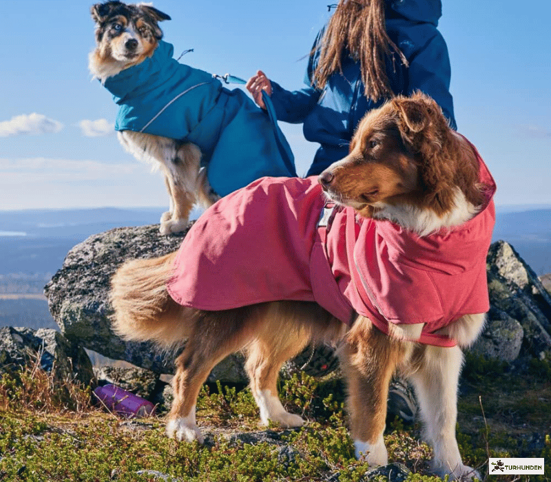 Hurtta Expedition Parka 2