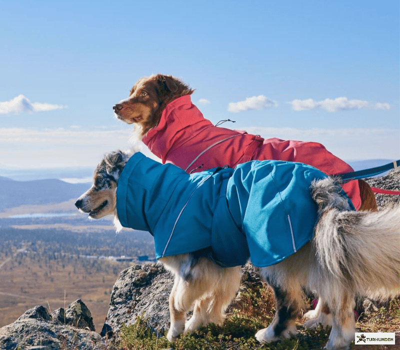 Hurtta Expedition Parka 2