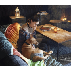 Hurtta Breezy Pants - ECO