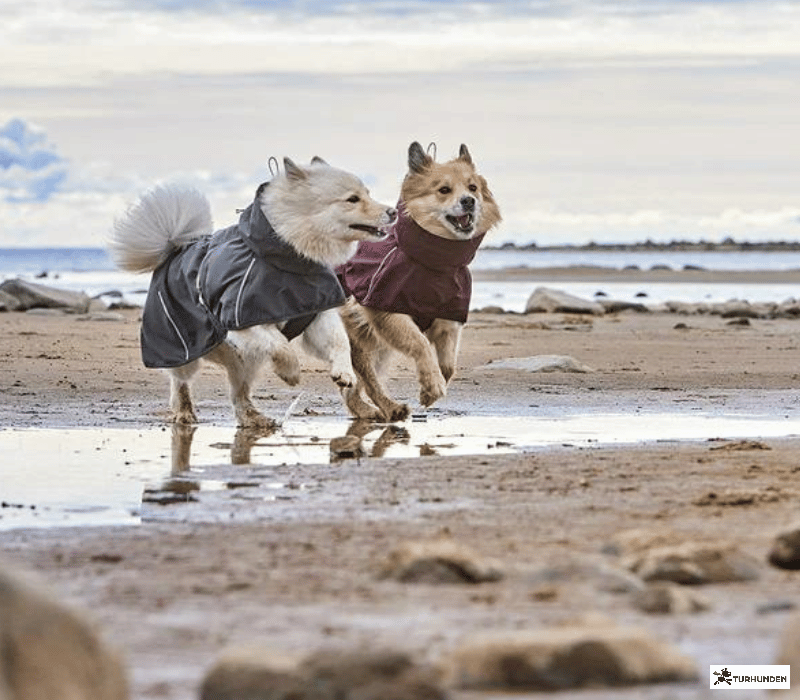 Hurtta Rainwear Mudventure Coat ECO