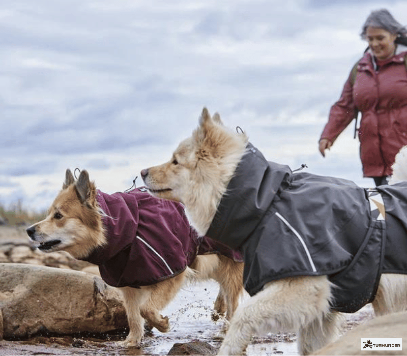 Hurtta Rainwear Mudventure Coat ECO