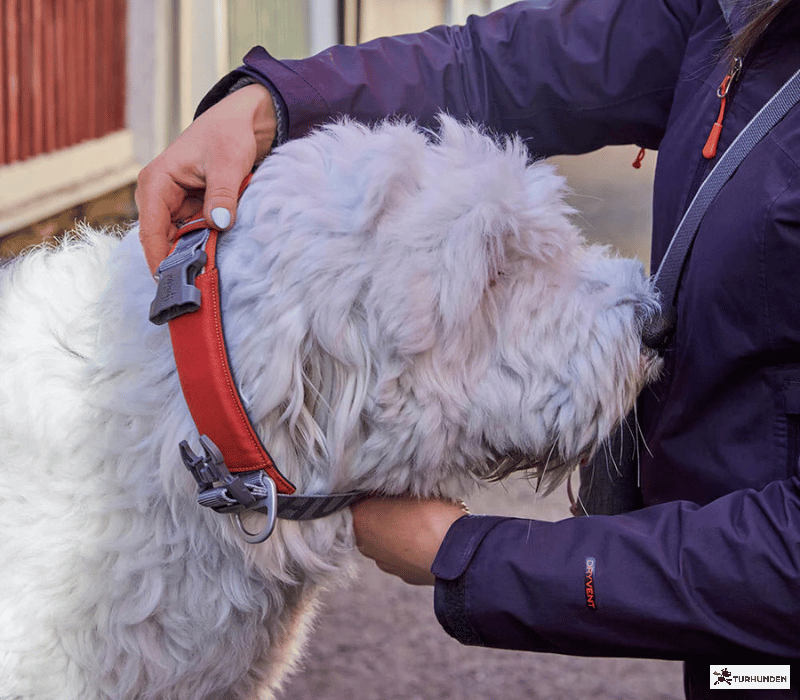 Hurtta Rover Collar