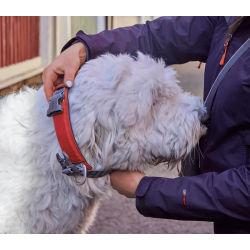 Hurtta Rover Collar