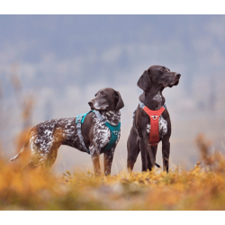 Hurtta Rover Harness