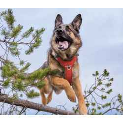 Hurtta Rover Harness