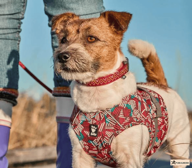 Hurtta Safety Wrap ECO