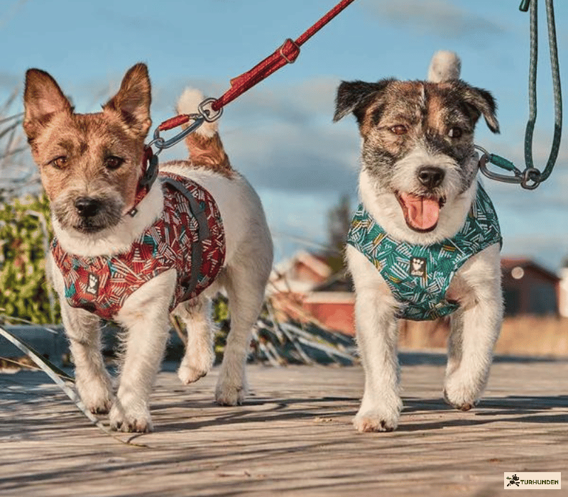 Hurtta Safety Wrap ECO