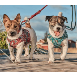 Hurtta Safety Wrap ECO