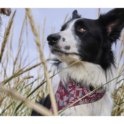 Hurtta Safety Bandana ECO