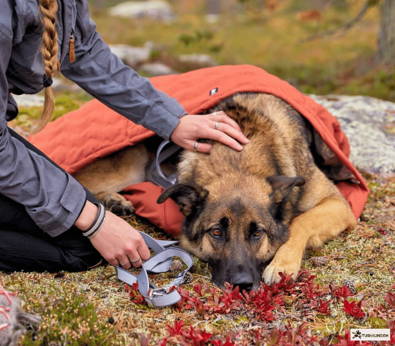 Hurtta Sleepover Sleeping bag